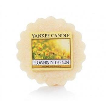 Scented wax melts In tartlets YANKEE home YWFITS (15 mm x 56 mm)