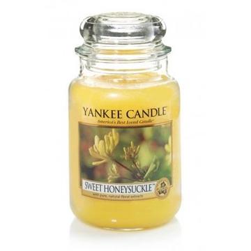Candle in the glass YANKEE home YSDSHS (170 mm x 110mm)