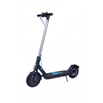 Motus Scooty 8.5 Turquoise