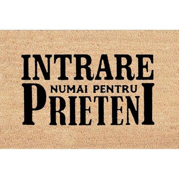 Heinner COVORAS INTRARE 40X60CM, FRIENDS