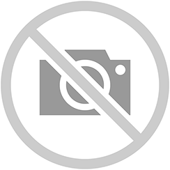 Stanley DALTA LEMN CU MANER BIMATERIAL 22MM