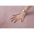 Heinner Covor shaggy soft blanita  200 x 300 cm, Pink