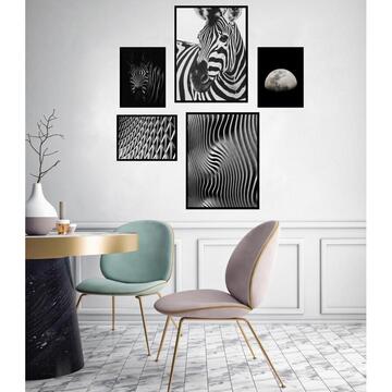 Heinner Set 5 tablouri decorative Zebra BW