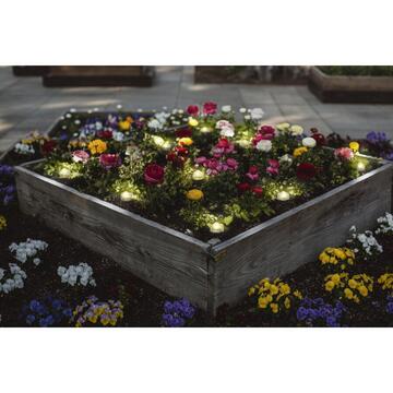 OSRAM Ghirlanda luminoasa de exterior LED RGB Ledvance SMART+ WIFI GARDEN DOT, RGB 9P, 2.5W, 380 lm, IP65, compatibil amazon alexa/Google Assistant