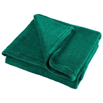 PATURA FLEECE POLAR 150X200CM VERDE TEESA