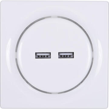 Fibaro Walli N socket-outlet 2x USB White