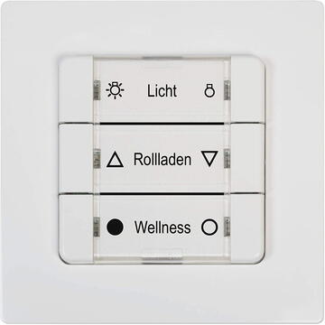 Rademacher DuoFern multiple wall switch BAT