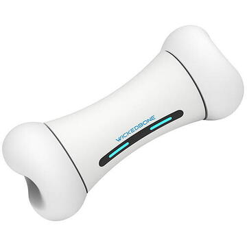 Cheerble Wickedbone Interactive Dog Toy WIFI