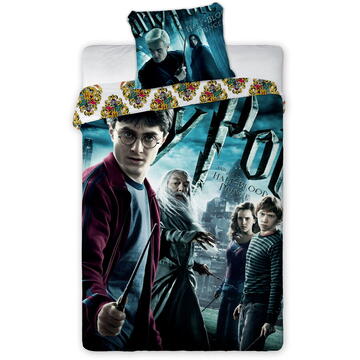 Faro Harry Potter 001 youth bedding 160x200cm + pillow 70x80cm
