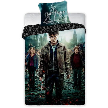 Faro Harry Potter 003 youth bedding 160x200cm + pillow 70x80cm