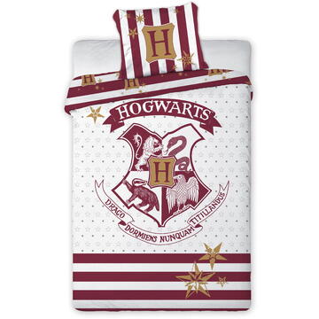 Faro Harry Potter 004 youth bedding 160x200cm + pillow 70x80cm