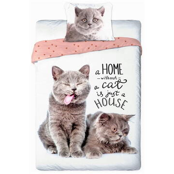 Faro Youth bedding 015 BEST FRIENDS CATS set 140x200cm + pillow 70x90cm