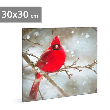 Tablou cu LED - cinteză roșie - 2 baterii AA - 30 x 30 cm (58478)