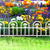 Garden of Eden Bordura pt. pat de flori / gard - 60 x 30 - alb