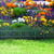 Garden of Eden Bordura pt. pat de flori / gard - 60 x 23 cm - Verde