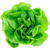 Seed kit pack aspara by GrowGreen - lettuce