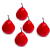 Familly Christmas Decor de Craciun - fructe rosii - 6 cm - 5 buc/pachet