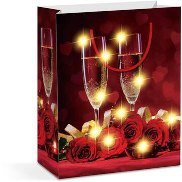 Pungă cadou - 10 LED-uri alb cald, hartie - 265 x 127 x 330 mm - 4 tipuri / pachet