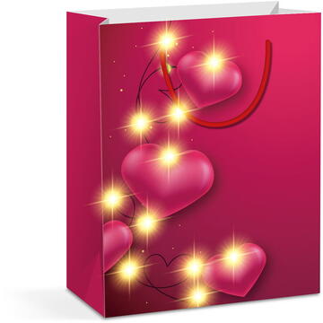 Pungă cadou - 10 LED-uri alb cald, hartie - 265 x 127 x 330 mm - 4 tipuri / pachet