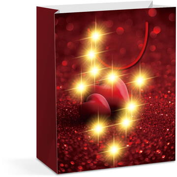 Pungă cadou - 10 LED-uri alb cald, hartie - 265 x 127 x 330 mm - 4 tipuri / pachet