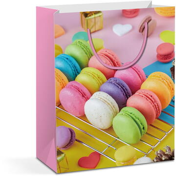 Pungă cadou - hârtie - 265 x 127 x 330 mm - 2 tipuri/pachet