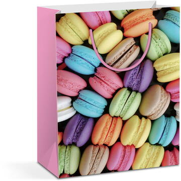 Pungă cadou - hârtie - 265 x 127 x 330 mm - 2 tipuri/pachet