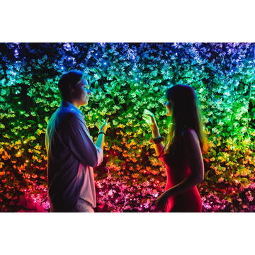 twinkly Instalatie de craciun 250 LED Special Edition TWS250SPP-BEU Smart 20m