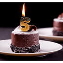 Family Pound Lumanare pentru tort - cifra 5