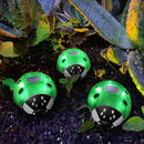 Garden of Eden Buburuza solara - verde - 14,5 x 12 x 6 cm - 6 LED-uri alb cald