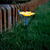 Garden of Eden Floare solara - 3 culori - 30 x 10 cm - LED alb