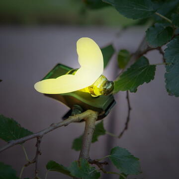 Garden of Eden Decor solar cu cleme - buburuza, fluture, albina - 11 x 6,5 x 10 cm - LED alb