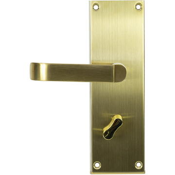 Yala Inteligenta PNI-CH20RG-PRO, 6 V, Auriu