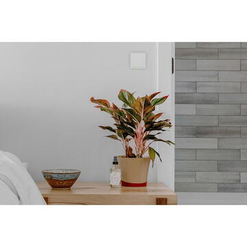 Intrerupator inteligent TESLA TSL-SWI-WIFI1, Wireless, 100‒240 V, Alb