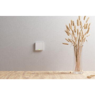 Intrerupator inteligent TESLA TSL-SWI-ZIGBEE1, 100‒240 V, Alb
