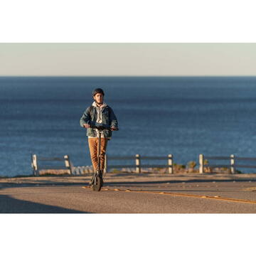 Trotineta Electrica Segway P65E 25 km/h, Viteza maxima 25 km/h, Dimensiune roti 10.5 inch ,Autonomie max 65 km, Negru