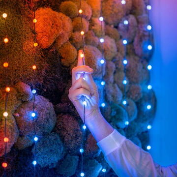 twinkly Instalatie pentru brad LED 6m 200 lights