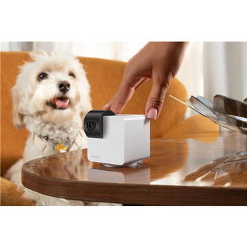 Camera smart PetCube P36010US, HD 1080p, Zoom 8x, Alb