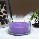 Vog und Arths Lumânare parfumată – Liliac de primăvară – 350 g