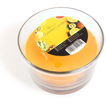 Vog und Arths Lumânare parfumată – Tropical – 350 g