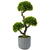 GLOBIZ Decoratiune cu plantă artificială - Bonsai - 55 x 27 cm
