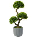 GLOBIZ Decoratiune cu plantă artificială - Bonsai - 55 x 27 cm