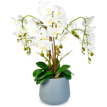 GLOBIZ Decorațiune cu plantă artificială – Orhidee albă – 83 cm