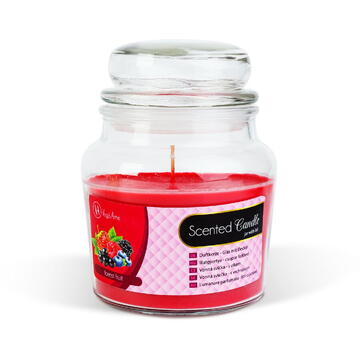 Vog und Arths Lumânare parfumată – borcan cu capac – Forest fruit – 310 g
