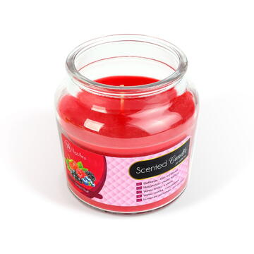 Vog und Arths Lumânare parfumată – borcan cu capac – Forest fruit – 310 g