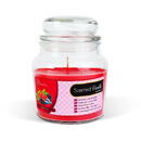 Vog und Arths Lumânare parfumată – borcan cu capac – Forest fruit – 310 g