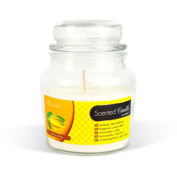 Vog und Arths Lumânare parfumată – borcan cu capac – Ylang Ylang – 310 g