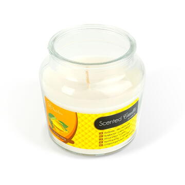 Vog und Arths Lumânare parfumată – borcan cu capac – Ylang Ylang – 310 g