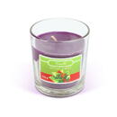 Vog und Arths Lumânare parfumata - "winter berry" - 120 g