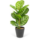 GLOBIZ Plantă artificială decorativă - Frunză de zebră verde - 34 x 9 cm