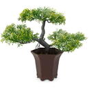 GLOBIZ Plantă artificială decorativă - Bonsai verde - 25 x 9 cm